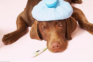 《博德之门3》3号补丁添加重新捏脸功能 终于有了！